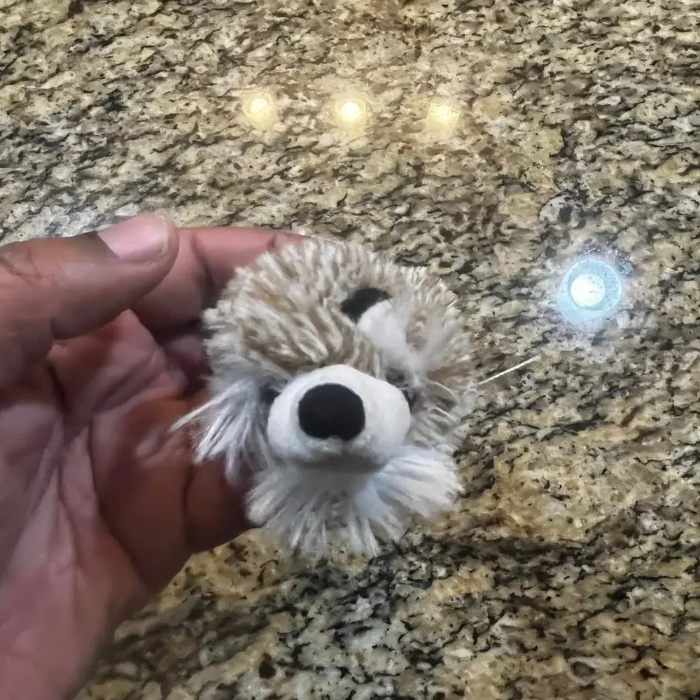 Fox Raccoon Squeaky Toy Flat Plush‎ Woodland Animal No Stuffing